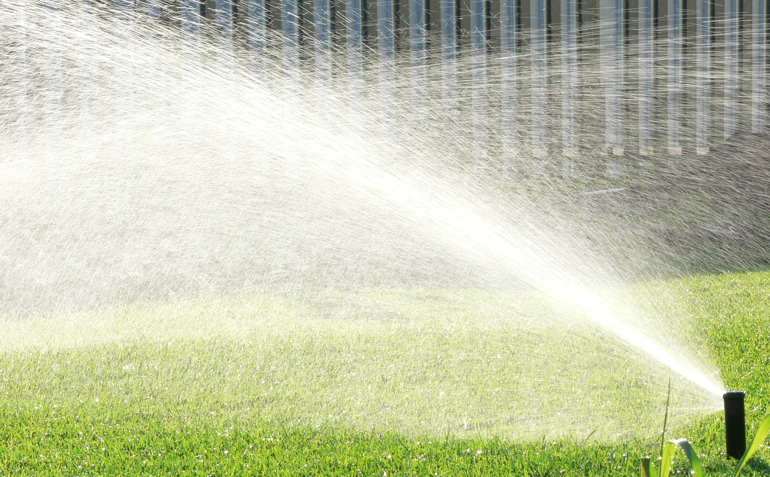 Heiße Sommertage - sorgsamer Umgang mit Trinkwasser bitte